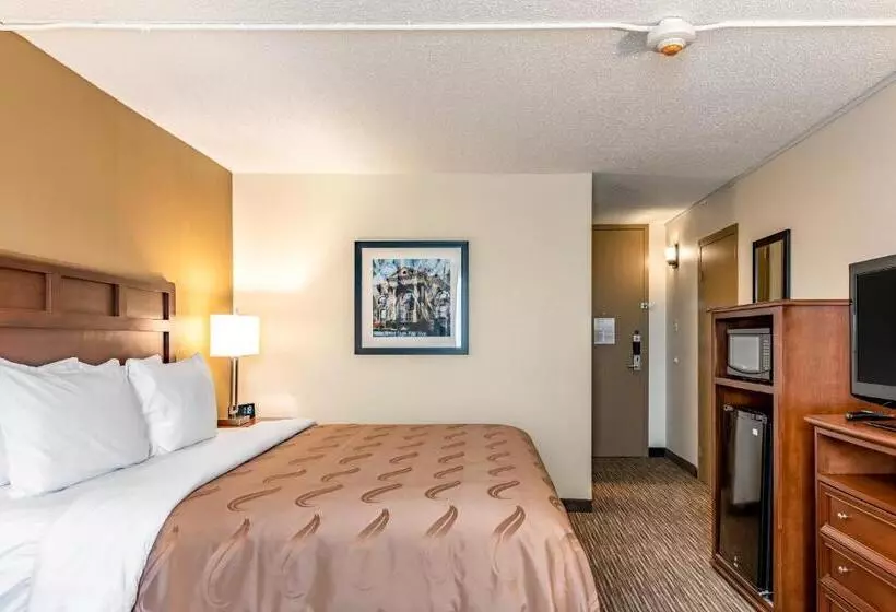 キングサイズベッドのスタンダードルーム, Quality Inn Bucyrus North