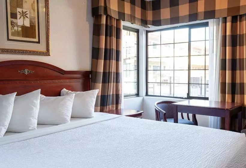 سوییت لوکس, Studio City Court Yard