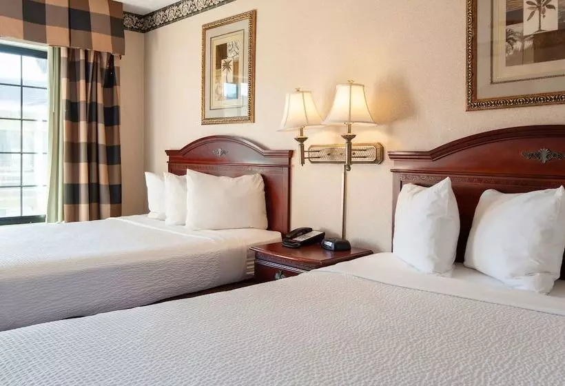 اتاق استاندارد با 2 تخت دوبل, Studio City Court Yard