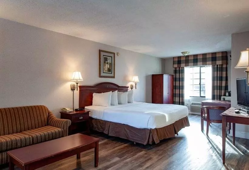 سوییت لوکس, Studio City Court Yard