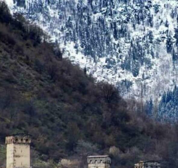 اتاق استاندارد, White Mountains • თეთრი მთები