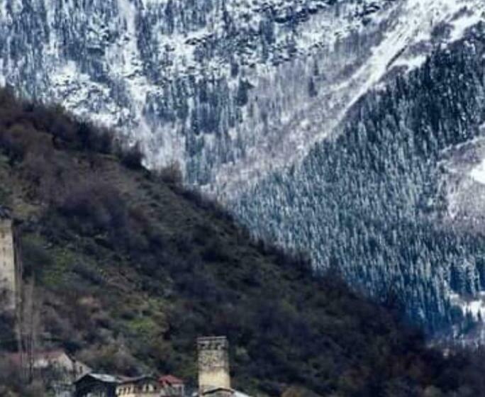 اتاق استاندارد سه نفره, White Mountains • თეთრი მთები