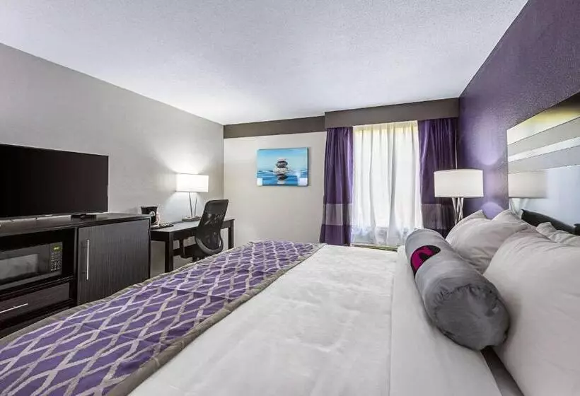 キングサイズベッドのスタンダードルーム, Clarion Inn & Suites Near Downtown