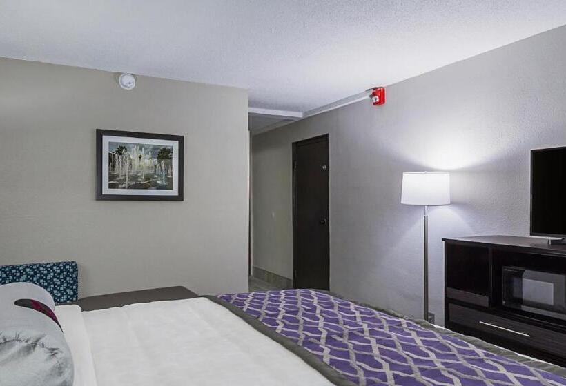 اتاق استاندارد با تخت بزرگ, Clarion Inn & Suites Near Downtown