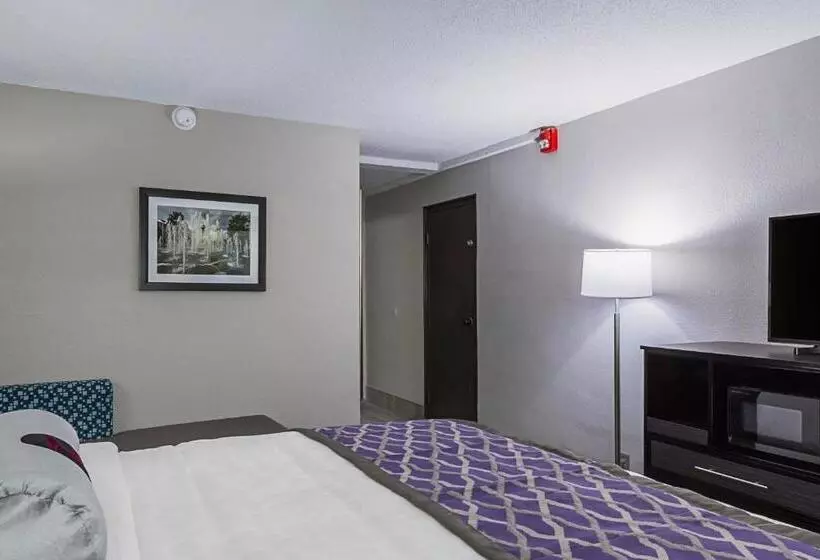キングサイズベッドのスタンダードルーム, Clarion Inn & Suites Near Downtown