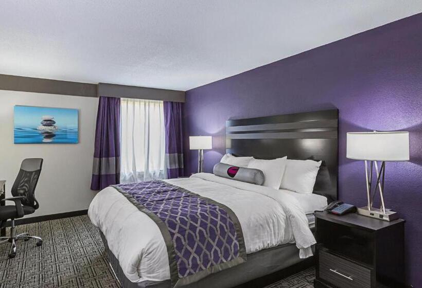 اتاق استاندارد با تخت بزرگ, Clarion Inn & Suites Near Downtown