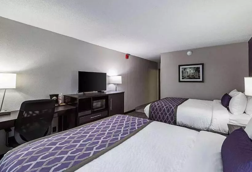 スタンダードルーム, Clarion Inn & Suites Near Downtown