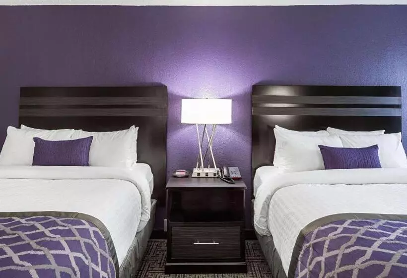 スタンダードルーム, Clarion Inn & Suites Near Downtown
