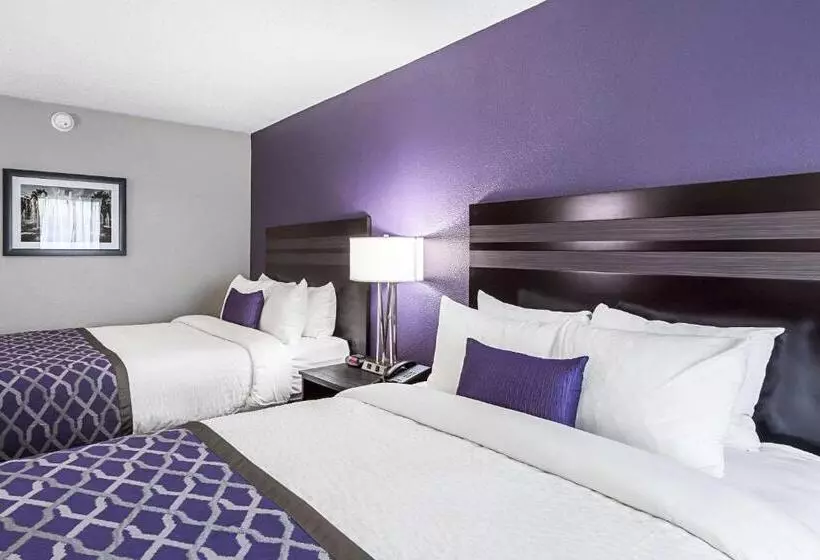 スタンダードルーム, Clarion Inn & Suites Near Downtown