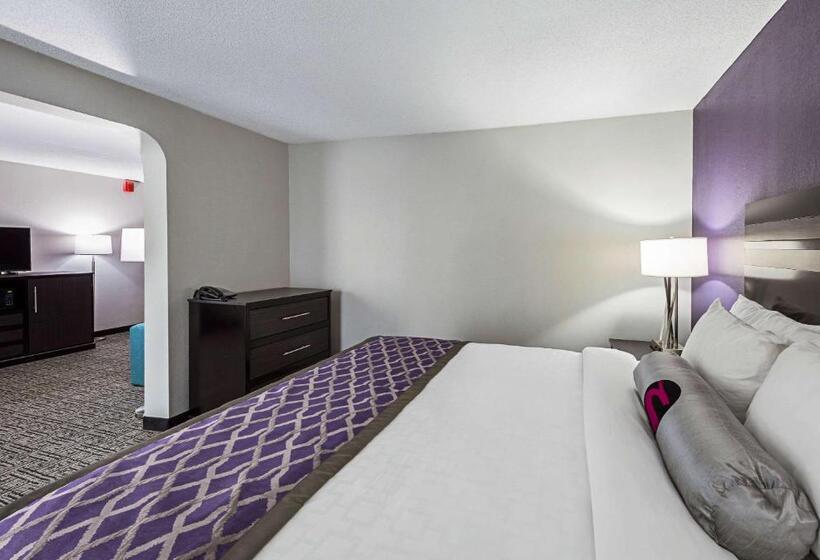 سوئیت با تخت بزرگ, Clarion Inn & Suites Near Downtown
