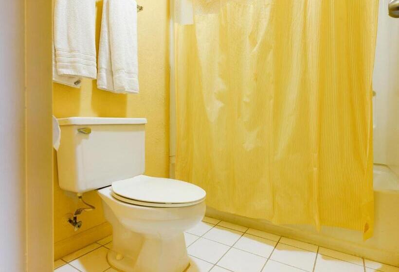 스탠다드 룸 킹사이즈 침대, Days Inn Williamston