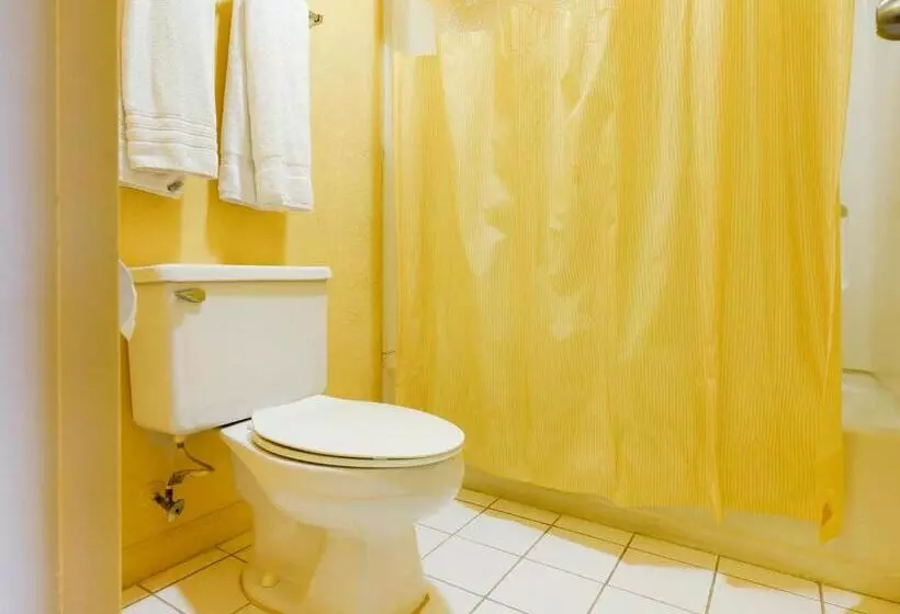 キングサイズベッドのデラックスルーム, Days Inn Williamston