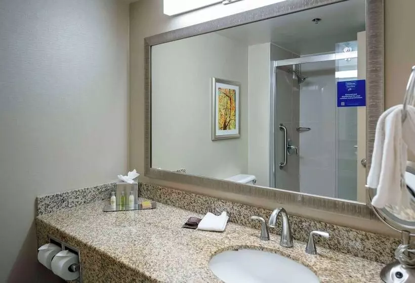 スタンダードルーム, Doubletree By Hilton Kansas City  Overland Park