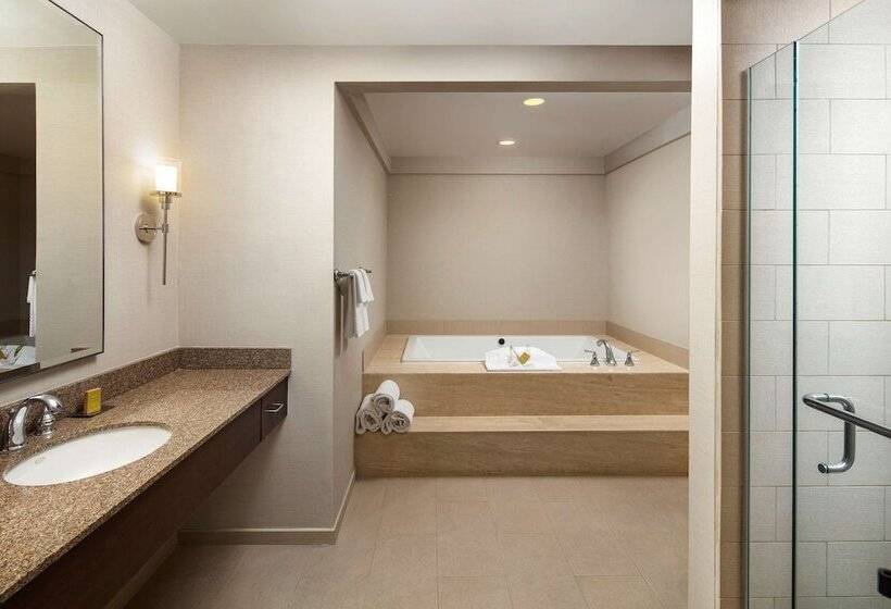 スイート, Doubletree By Hilton Ontario Airport