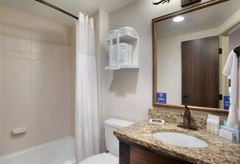 اتاق استاندارد, Hampton Inn Jackson Hole