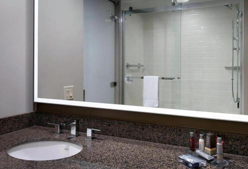 スタンダードルーム, Princeton Marriott At Forrestal