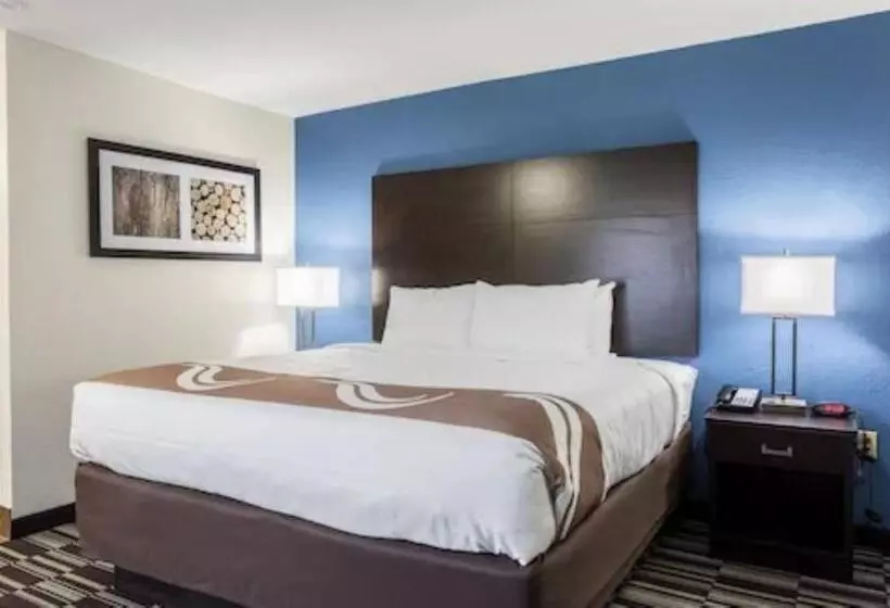 キングサイズベッドのスタンダードルーム, Quality Inn Farmington