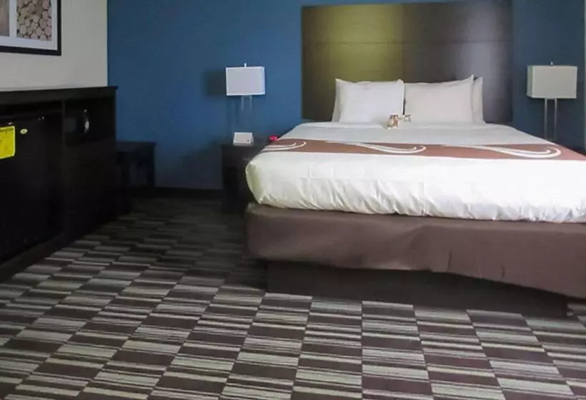 身障者適用キングサイズベッドルーム, Quality Inn Farmington