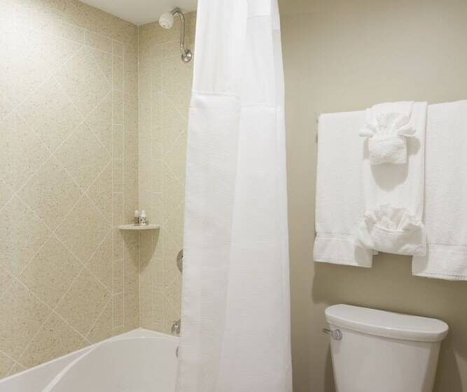 디럭스 테라스 룸 바다 전망, Surfside Beach Oceanfront