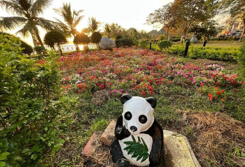 اتاق لوکس با چشمانداز دریا, Thái Bảo