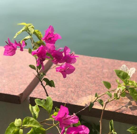 اتاق استاندارد چهار تخته, Thái Bảo