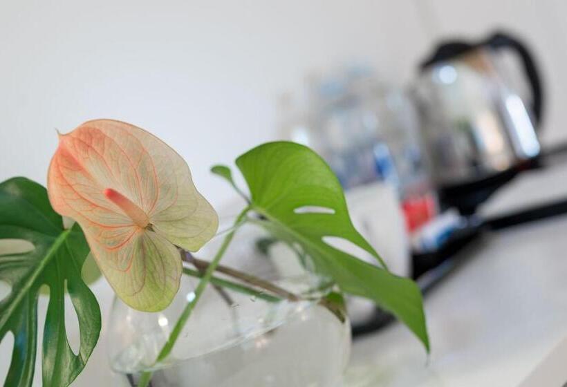 غرفة قياسية ثلاثية, La Ripa Boutique