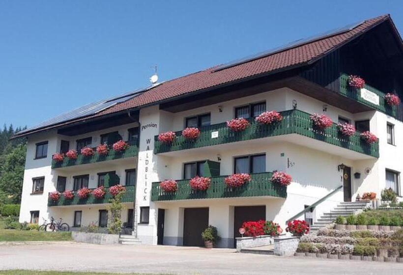 1 Sovrums Lägenhet, Pension Waldblick