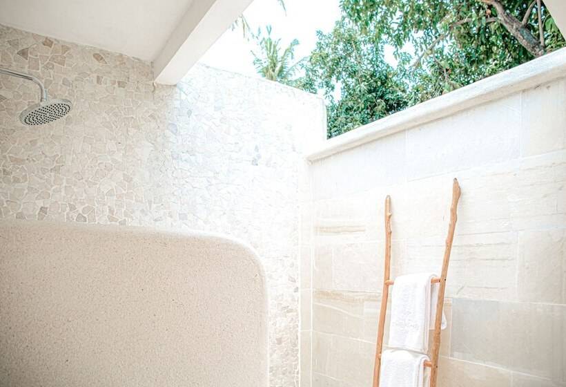 스탠다드 룸, The Koho Air