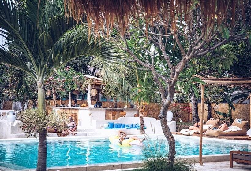 스탠다드 룸, The Koho Air