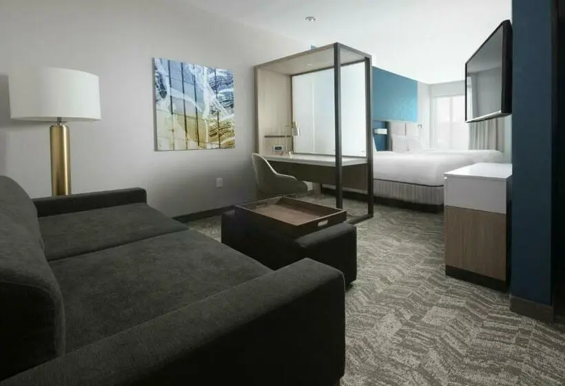 スイート, Springhill Suites By Marriott Texas City