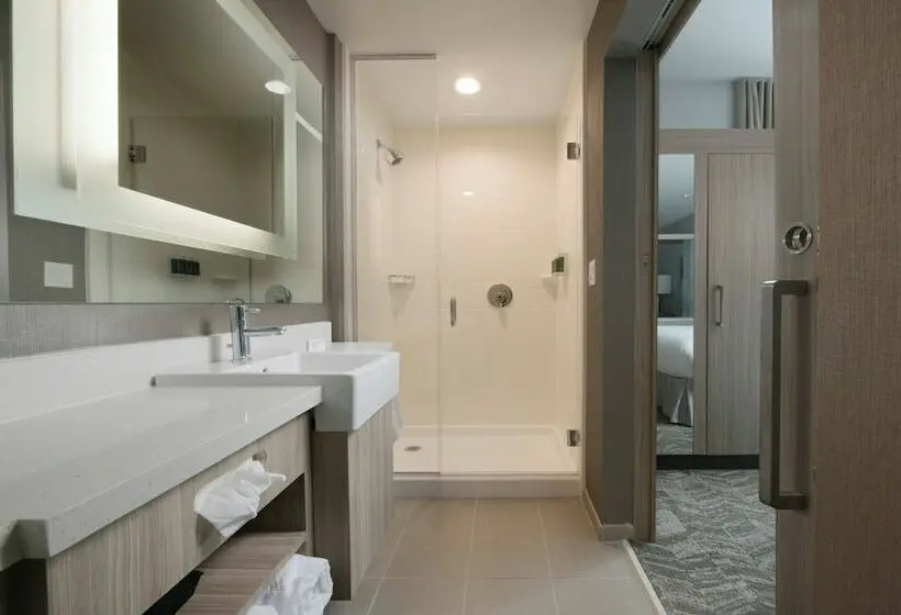 スイート, Springhill Suites By Marriott Texas City