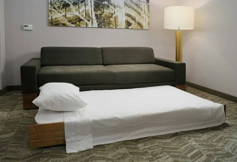スイート, Springhill Suites By Marriott Texas City