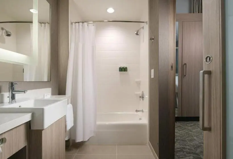 キングサイズベッドのスイートルーム, Springhill Suites By Marriott Texas City
