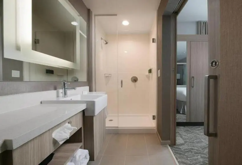 キングサイズベッドのスイートルーム, Springhill Suites By Marriott Texas City