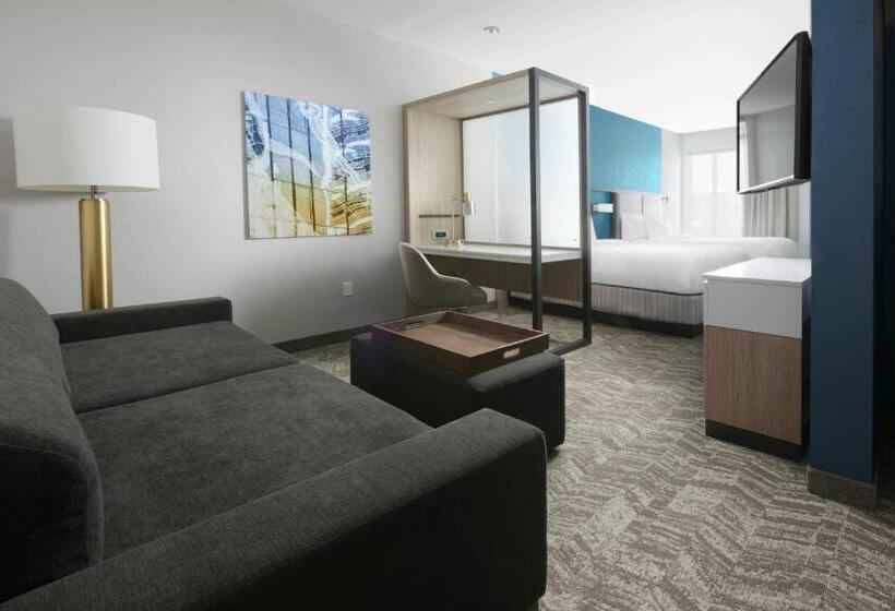 Люкс, Springhill Suites By Marriott Texas City
