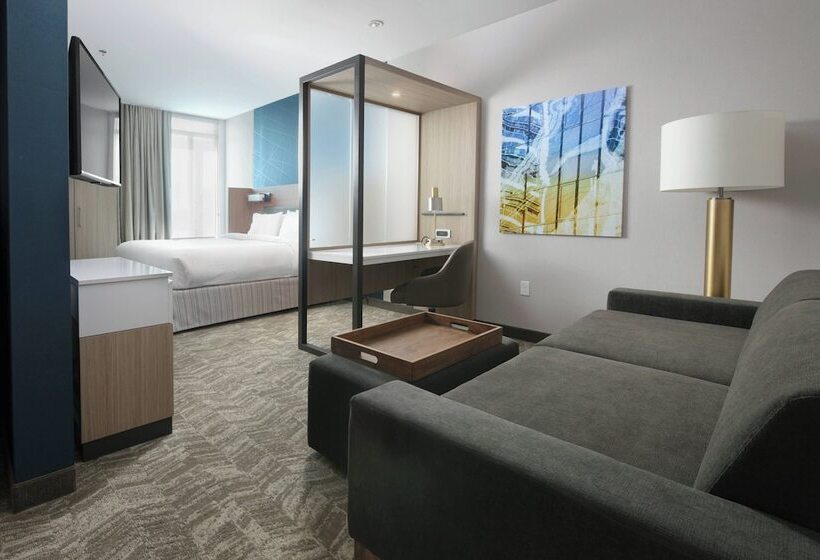 סוויטה, Springhill Suites By Marriott Texas City