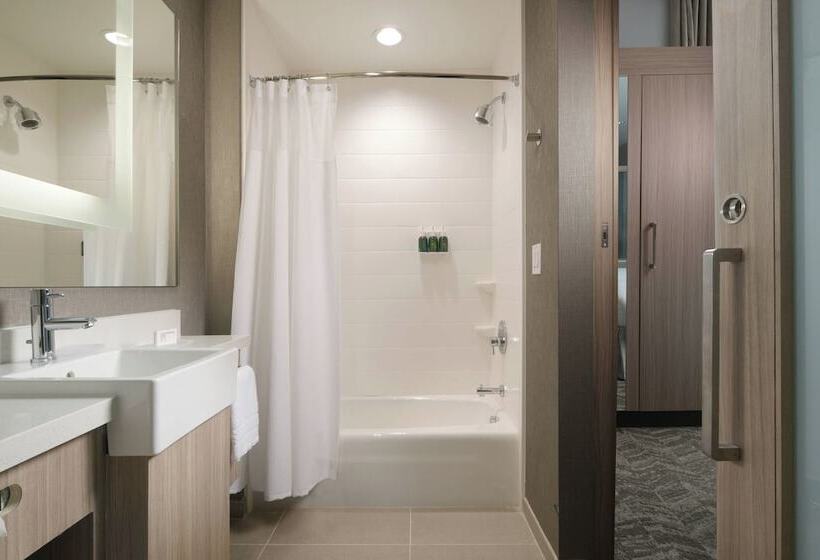 סוויטה, Springhill Suites By Marriott Texas City