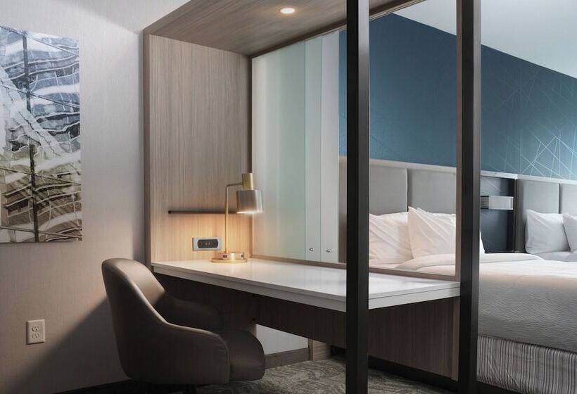 Люкс, Springhill Suites By Marriott Texas City