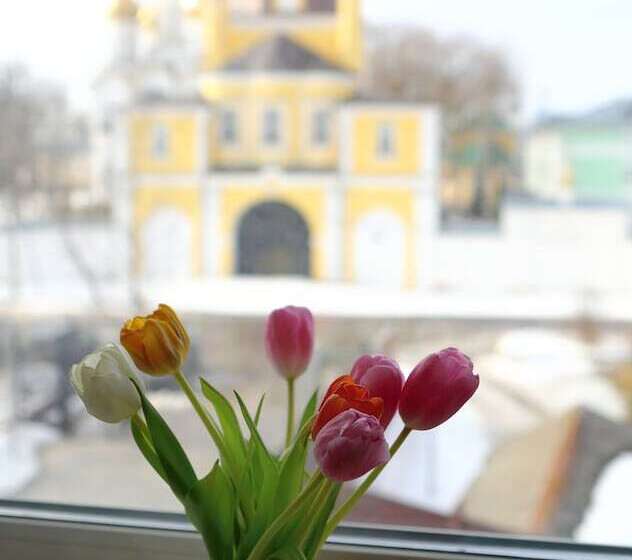Номер Комфорт, Nikolin Park Guest House
