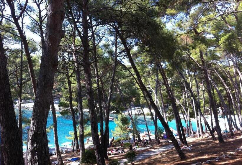 חדר סטנדרט עם מיטת קינג, Bb Ld