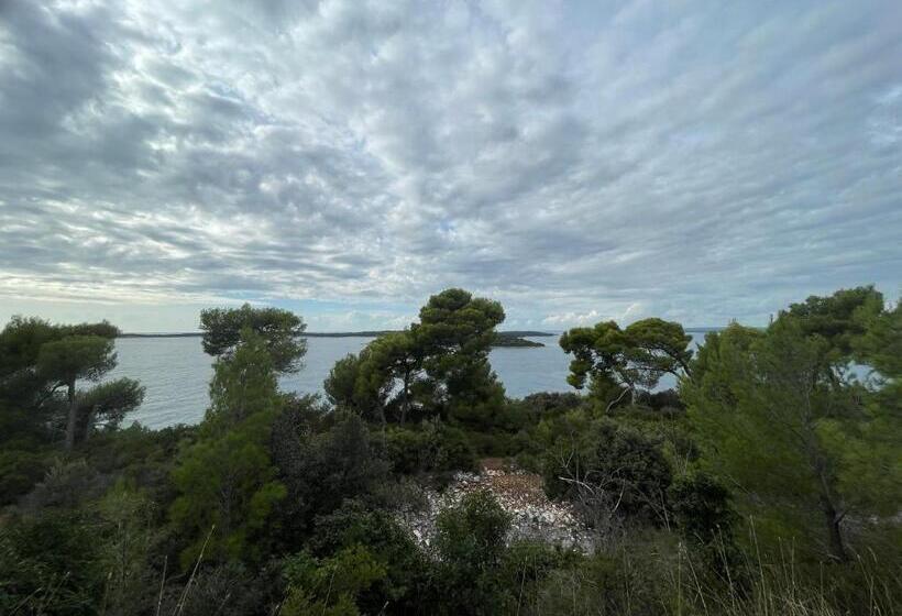 １階の１ベッドルームアパートメント, Bb Ld