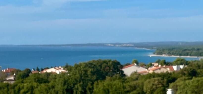 דירת שלושה חדרים, Bb Ld