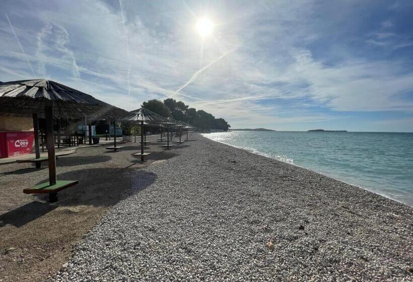 דירת חדר נוף לגינה, Bb Ld