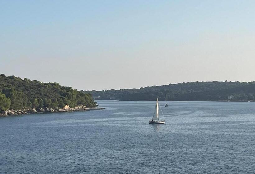 חדר משפחתי, Bb Ld