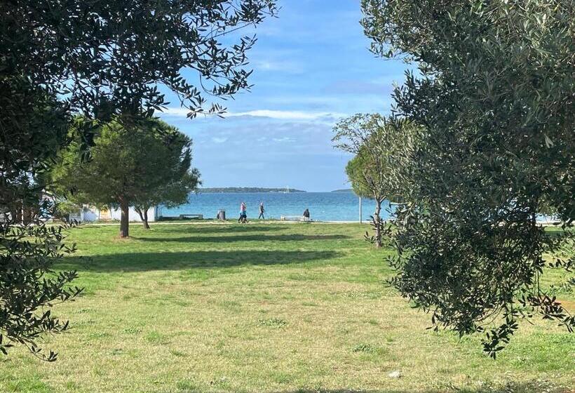 ファミリールーム, Bb Ld