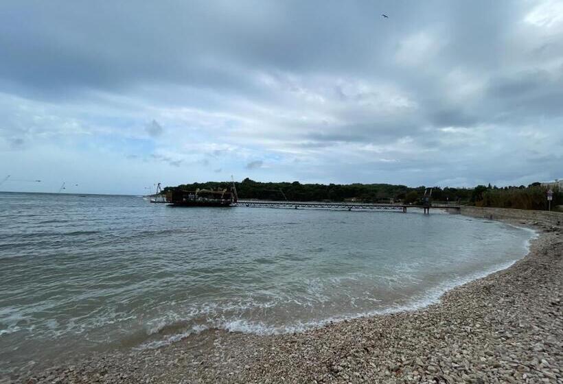 חדר משפחתי, Bb Ld