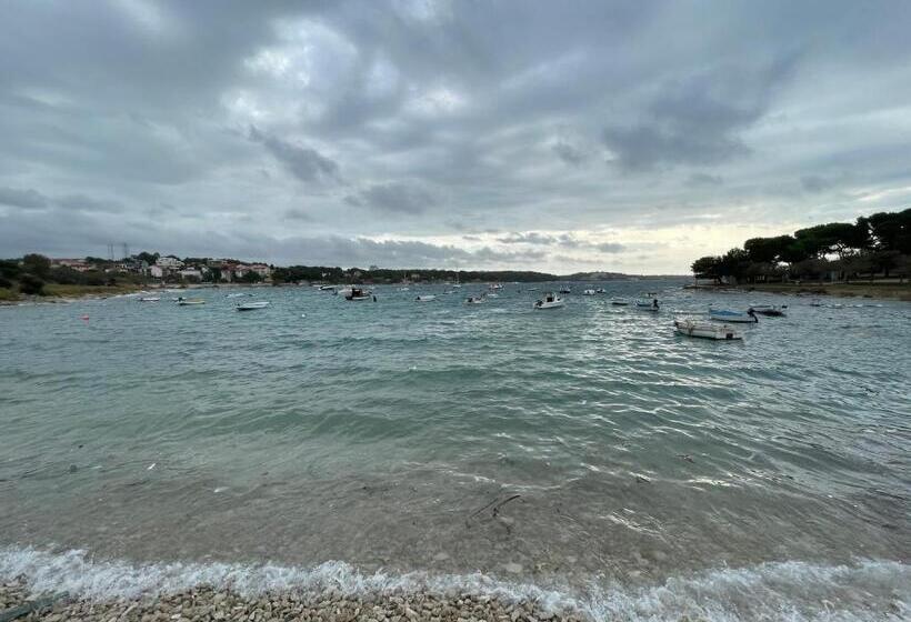 דירת חדר בקומת קרקע, Bb Ld