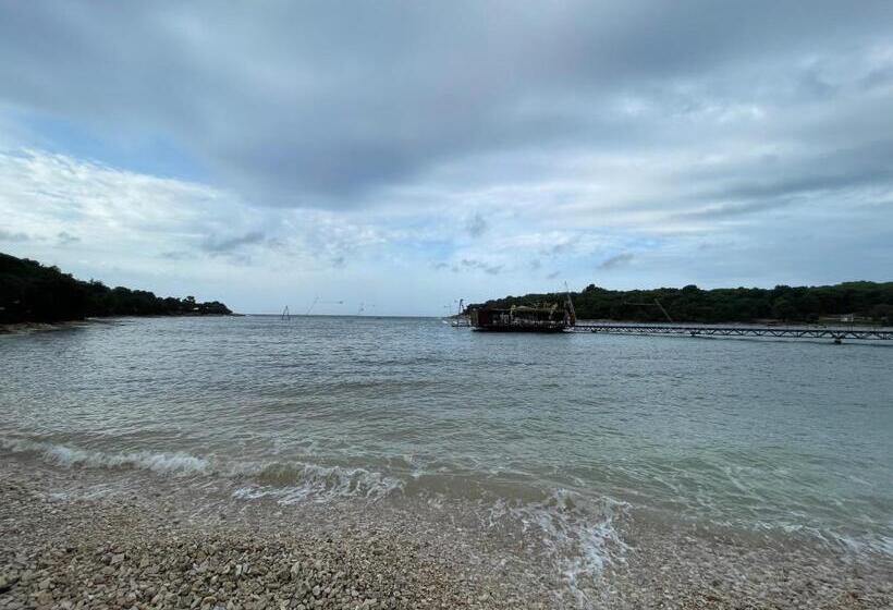 דירה בת חדר שינה 1 עם מרפסת, Bb Ld