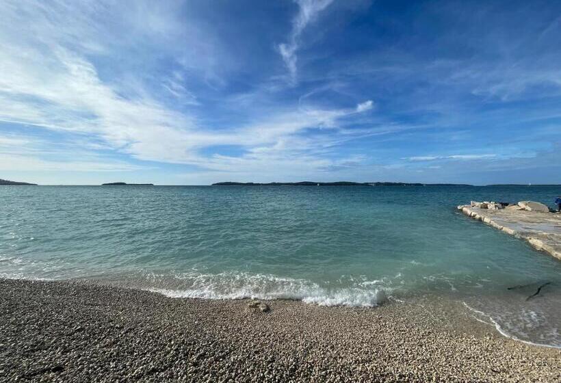 דירת שלושה חדרים, Bb Ld