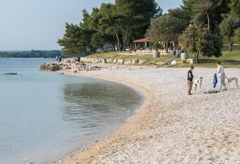 דירת שלושה חדרים, Bb Ld